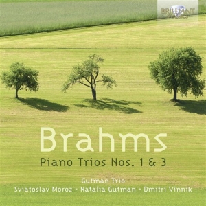 Brahms - Piano Trios No 1&3 ryhmässä CD @ Bengans Skivbutik AB (1004552)