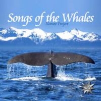 Various Artists - Songs Of The Whales ryhmässä CD @ Bengans Skivbutik AB (1012692)