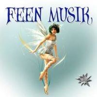 Various Artists - Feen Musik ryhmässä CD @ Bengans Skivbutik AB (1012693)