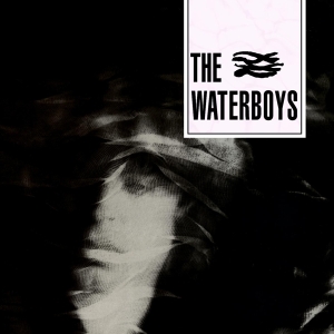 The Waterboys - Waterboys ryhmässä Minishops / Waterboys @ Bengans Skivbutik AB (1020032)