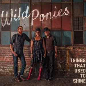 Wild Ponies - Things That Used To Shine ryhmässä CD @ Bengans Skivbutik AB (1023740)