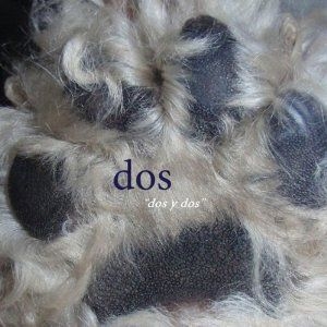 Dos (Mike Watt) - Dos Y Dos ryhmässä CD @ Bengans Skivbutik AB (1023826)