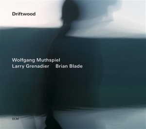 Wolfgang Muthspiel/Larry Grenadier/ - Driftwood ryhmässä CD @ Bengans Skivbutik AB (1030638)