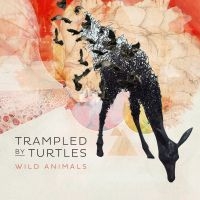 Trampled By Turtles - Wild Animals ryhmässä CD @ Bengans Skivbutik AB (1032211)