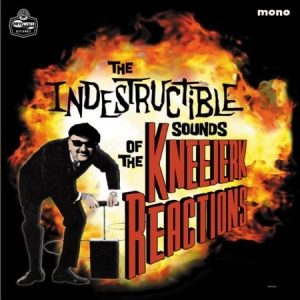 Kneejerk Reactions - Indestructible Sounds Of... ryhmässä CD @ Bengans Skivbutik AB (1044963)