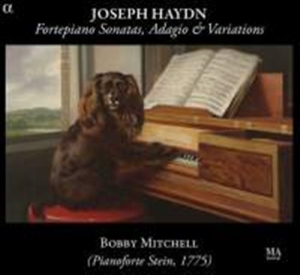 Haydn - Fortepiano Sonatas ryhmässä CD @ Bengans Skivbutik AB (1058004)