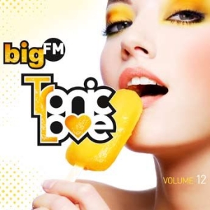 Various Artists - Big Fm Tropic Love Vol.12 ryhmässä CD @ Bengans Skivbutik AB (1058282)