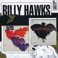 Hawks Billy - New Genius Of The Blues/Heavy Soul! ryhmässä CD @ Bengans Skivbutik AB (1060428)