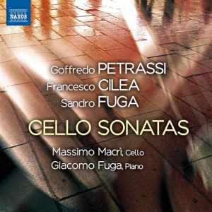 Various Composers - Works For Cello And Piano ryhmässä CD @ Bengans Skivbutik AB (1076695)