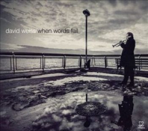 Weiss David - When Words Fail ryhmässä CD @ Bengans Skivbutik AB (1088423)