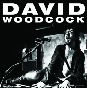 Woodcock David - David Woodcock ryhmässä CD @ Bengans Skivbutik AB (1098926)