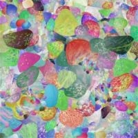 Grumbling Fur - Preternaturals ryhmässä VINYYLI @ Bengans Skivbutik AB (1099023)