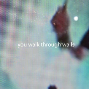 You Walk Through Walls - You Walk Through Walls (Lim.Ed.Colo ryhmässä VINYYLI @ Bengans Skivbutik AB (1105199)