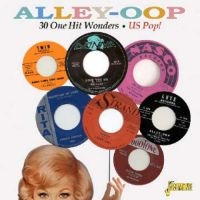 Various Artists - Alley-Oop - 30 One Hit Wonders Us P ryhmässä CD @ Bengans Skivbutik AB (1111477)