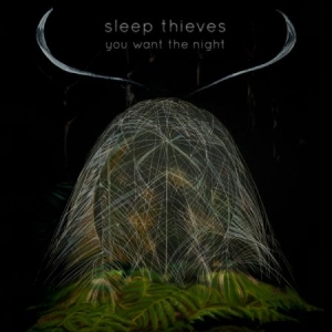 Sleep Thieves - You Want The Night ryhmässä VINYYLI @ Bengans Skivbutik AB (1117890)