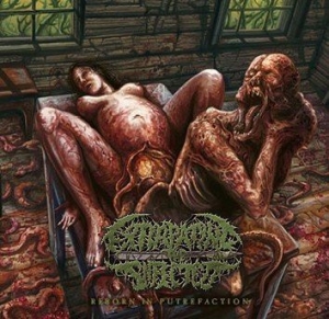 Extirpating The Infected - Reborn In Putrefaction ryhmässä CD @ Bengans Skivbutik AB (1117940)