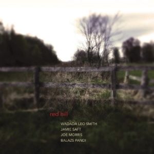 Wadada Leo Smith Jamie Saft Joe M - Red Hill ryhmässä CD @ Bengans Skivbutik AB (1125539)