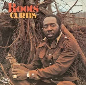 Curtis Mayfield - Roots ryhmässä CD @ Bengans Skivbutik AB (1129928)