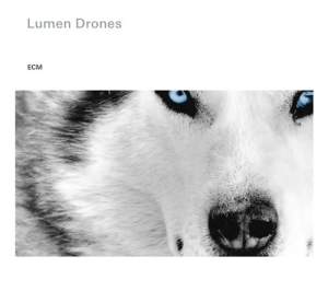 Nils Økland / Per Steinar Lie / Ørj - Lumen Drones ryhmässä CD @ Bengans Skivbutik AB (1131053)