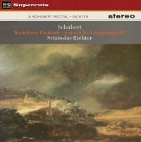 Schubert - Wanderer Fantasie/Sonata In A Major ryhmässä VINYYLI @ Bengans Skivbutik AB (1134450)