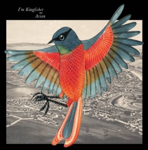 I'm Kingfisher - Avian - Red Vinyl ryhmässä VINYYLI @ Bengans Skivbutik AB (1135387)