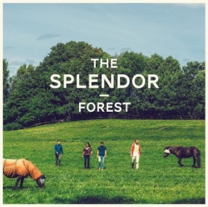 Splendor - Forest ryhmässä VINYYLI @ Bengans Skivbutik AB (1142506)