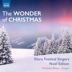 Various Composers - The Wonder Of Christmas ryhmässä CD @ Bengans Skivbutik AB (1153903)