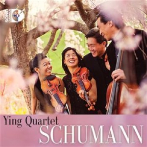 Robert Schumann - String Quartets ryhmässä DVD & BLU-RAY @ Bengans Skivbutik AB (1161850)