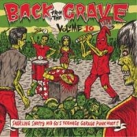 V/A - Back From The Grave Vol 10 - Vol.10 - Back From The Grave ryhmässä VINYYLI @ Bengans Skivbutik AB (1166173)