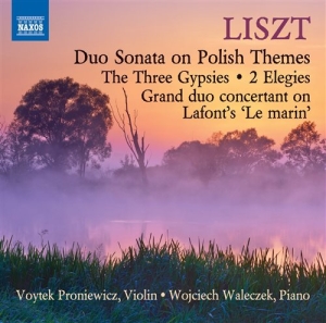 Liszt - Music For Violin And Piano ryhmässä CD @ Bengans Skivbutik AB (1167907)