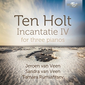 Ten Holt - Incantatie Iv ryhmässä CD @ Bengans Skivbutik AB (1167978)