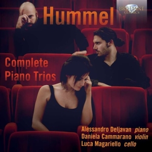 Hummel - Piano Trios ryhmässä CD @ Bengans Skivbutik AB (1167979)