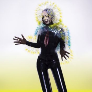 Bjork - Vulnicura ryhmässä VINYYLI @ Bengans Skivbutik AB (1190041)