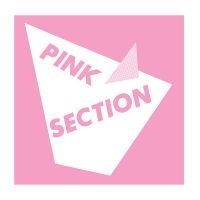 Pink Section - Pink Section ryhmässä VINYYLI @ Bengans Skivbutik AB (1193796)