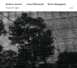 Jormin / Willemark / Nakagawa - Trees Of Light ryhmässä CD @ Bengans Skivbutik AB (1244213)