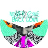 Jad & The Ladyboy - Never Come Back Down ryhmässä VINYYLI @ Bengans Skivbutik AB (1244308)