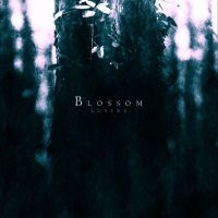 Lustre - Blossom ryhmässä CD @ Bengans Skivbutik AB (1247388)