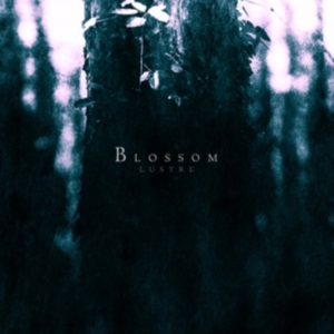 Lustre - Blossom ryhmässä CD @ Bengans Skivbutik AB (1247388)