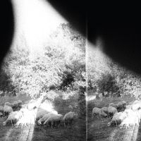 Godspeed You! Black Emperor - Asunder, Sweet And Other Distress ryhmässä CD @ Bengans Skivbutik AB (1263305)