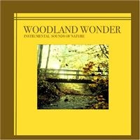 Instrumental Sounds Of Nature - Woodland Wonder ryhmässä ME SUOSITTELEMME / Joululahjavinkki: CD @ Bengans Skivbutik AB (1267028)