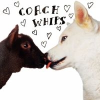 Coachwhips - Bangers Vs Fuckers ryhmässä VINYYLI @ Bengans Skivbutik AB (1270753)