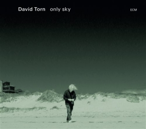 Torn David - Only Sky ryhmässä CD @ Bengans Skivbutik AB (1278737)