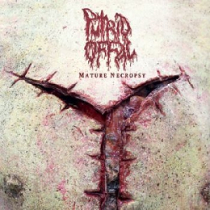 Putrid Offal - Mature Necropsy (2Cd) ryhmässä CD @ Bengans Skivbutik AB (1288023)