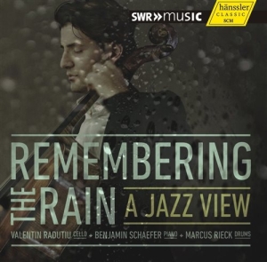 Various Composers - Remembering The Rain - A Jazz View ryhmässä ME SUOSITTELEMME / Joululahjavinkki: CD @ Bengans Skivbutik AB (1313571)