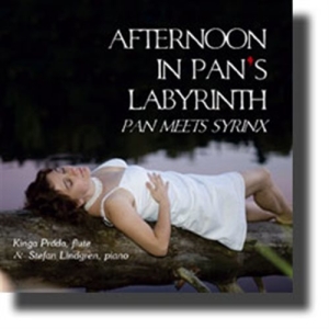 Kinga Práda / Stefan Lindgren - Afternoon In Pan´S Labyrinth ryhmässä ME SUOSITTELEMME / Joululahjavinkki: CD @ Bengans Skivbutik AB (1317769)