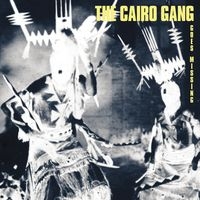 Cairo Gang - Goes Missing ryhmässä VINYYLI @ Bengans Skivbutik AB (1475101)