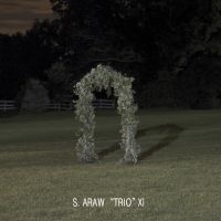 S. Araw Trio Xi - Gazebo Effect ryhmässä VINYYLI @ Bengans Skivbutik AB (1475402)