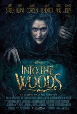 Into The Woods (2015) ryhmässä Elokuva DVD @ Bengans Skivbutik AB (1479465)