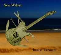 Walwyn Steve - Instinct To Survive ryhmässä CD @ Bengans Skivbutik AB (1484019)