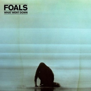 Foals - What Went Down ryhmässä VINYYLI / Pop-Rock @ Bengans Skivbutik AB (1485885)